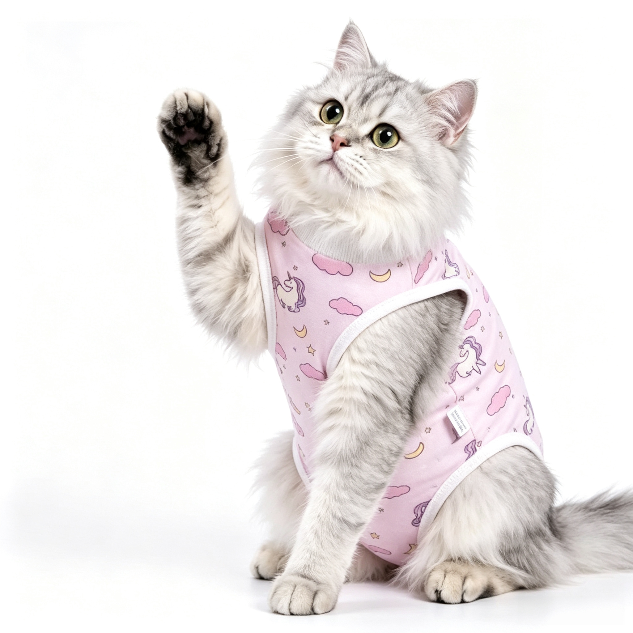 Avont 2-Pack Cat Recovery Suit for Spay Healing -Unicorn S 2026 New